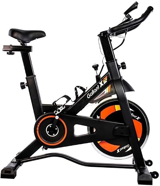 Bicicleta Spinning Gallant Elite X